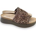 Munro  Leopard Print‎ Elastic Slide Sandals Women’s Size 9.5 WW Comfort Shoes EUC Photo 0