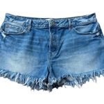 Paige Emmitt Denim Shorts Photo 0