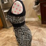 Dorothy Perkins Snake print dress Photo 3