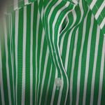 CHAPS  L Ralph Lauren Kelley Green Stripe Oxford Top Photo 3