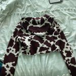 PacSun Jacket Photo 1