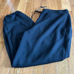 Spanx  Air Essentials Sweatpants - Size XL Petite Photo 0