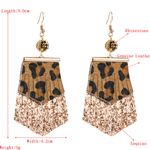 Leather Cheetah Rhinestone Fringe Drop Earrings Brown Photo 1