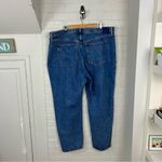 Abercrombie & Fitch  Plus Size The Loose High Rise Jeans Size 35/20 Short Photo 9