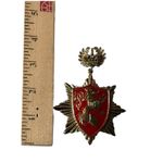 Vintage Heraldic Lion Crest Brooch Red Enamel Crown Starburst Coat of Arms Pin Photo 5