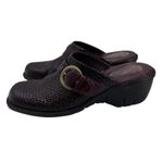 Clarks  Artisan Womens 8‎ M Brown Leather Buckle Clogs Photo 2