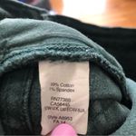 J.Crew  Zipper Skinny Jeans Green 24 Photo 4