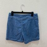 Anthropologie  Pilcro Ella Tailored Denim Shorts size 10 Photo 2