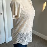 Hinge  Lace Top  Photo 3