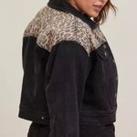 Torrid | Black Leopard Animal Print Worn Denim Trucker Jacket | Size 3X (22/24) Photo 1