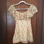 Vanessa Mooney  The Joelyn Dress: Pink Roses XS Photo 2