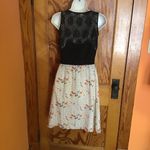 Anthropologie Girls from Savoy Floral & Lace Dress Photo 6