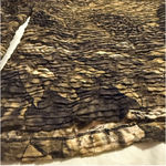 Chico's Y2K Crinkle Mesh Floral Long Sleeve Top - Size 1 Photo 5