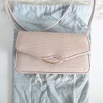 Vintage Judith Leiber Lizard Embossed Light Pink Small Crossbody Bag Photo 1
