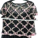 Candalite Dress 1X Black Pink Embroidered Floral Mesh Classic Formal Whimsygoth Photo 4