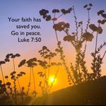 Nirvana Retro 90s In Utero Graphic T-shirt Tee Small Gildan Heavyweight Grunge Photo 5