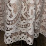 Eliza J Cream White Bell Sleeve A-line Lace Lined Dress Size 6 Special Occasion Photo 6