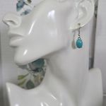 Boutique Silver Statement Turquoise Howlite with Rhinestone Necklace and Earrings Set Photo 11