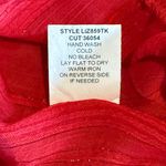 Figueroa & Flower Red Polka Dot Sheer Blouse by Free People size L Size L Photo 3