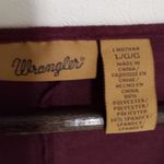 Wrangler L Western Cowgirl Fringe Long Sleeve Faux Suede Mini Dress Photo 5