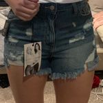 PacSun Shorts Photo 0