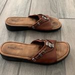 Minnetonka  slides Photo 4