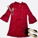 Sugar Lips  Wine Floral Lace Dress Small Photo 4