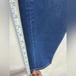 Roberto Cavalli  Dark Blue Jeans with Metallic Snake Photo 11