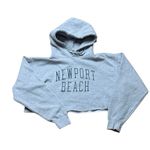 Brandy Melville  John Galt Grey Cropped Oversized Newport Beach Hoodie One Size Photo 1
