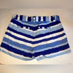 Vineyard Vines  Day Boat Shorts Size 4 Photo 4
