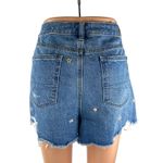 American Eagle  Outfitters Blue Floral Embroidered Frayed Cutoff Denim Shorts 12 Photo 1