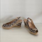 Stuart Weitzman  peep toe sandals shoes size 8.5 M RARE HTF GORGEOUS Designer Photo 10