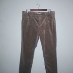 Loft 36x29 14 Velveteen Golden Polka Dot Modern Skinny Ankle Pants New! Photo 6