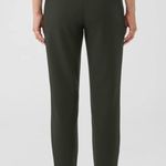 Eileen Fisher Washable Stretch Ponte Tapered Slim Ankle Pants Woodland Green L Photo 1