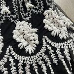 ZARA  WOMAN NWOT Embroidered Tulle Skirt black with cream stitching Sz S Pull on Photo 1