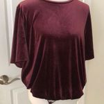 Loft Cutest Maroon Velvet Short Sleeve Top Photo 1