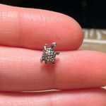 Sterling Silver Mini Turtle 925 Single Stud Earring Photo 11