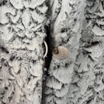 Adrienne Landau Cream Faux Fur Coat Reversible Womens Hooded Jacket Plus Size 1X Photo 4