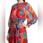 Farm Rio NWOT Animal Collage print belted long sleeves high neck Maxi Dress sz M Photo 1