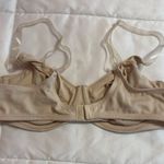 Venus Lascana  Nude Bra Photo 1