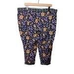 Sundance Leia Floral Print Cotton Cropped Pants Women's Size Petite XL Boho Photo 6