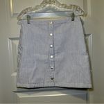 MarleyLilly  Blue/White Striped Button Snap Front Skirt size S Photo 0