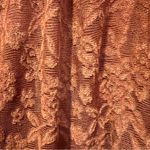 Deletta Anthropologie Rust Amana Burnout Sheer Smocked Mock Neck Top size small Photo 5
