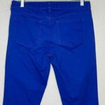 Tahari  Blue‎ Jeans Photo 4