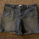 Loft Ann Taylor  Blue Denim Shorts Photo 0