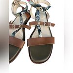 Cole Haan Wren flat sandals Pecan Snake Print gladiator style ankle strap 9.5 Photo 3