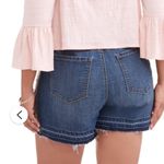 Terra & Sky  Women's Plus Size Embroidered Denim Jean Short Size 18W Boho Summer Photo 10