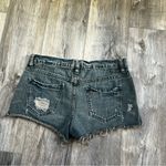 Free People  shorts Photo 3