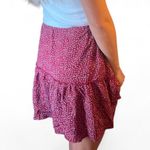 Brandy Melville  skirt Photo 1