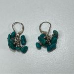 Vtg Turquoise Dangle Earrings South Western National Wildlife Federation Case Blue Photo 1